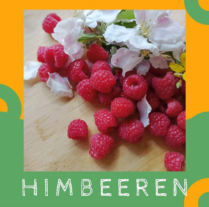 Himbeeren