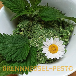 Brennnessel-Pesto