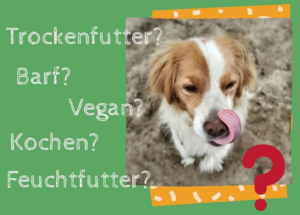 welches Hundefutter